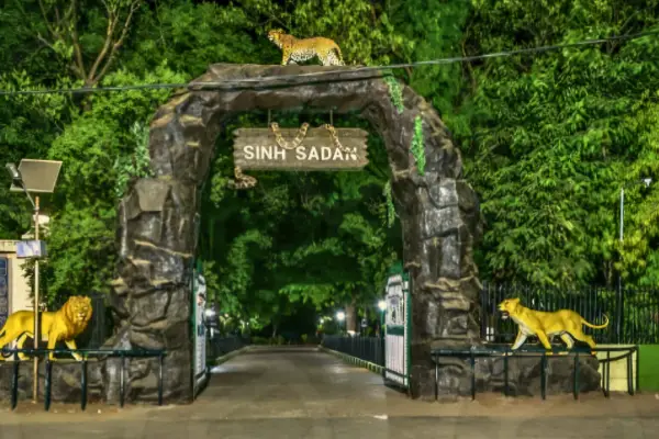 Sasan Gir - Somnath- Dwarka Tour with Lion Safari
